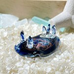 U401　宇宙を宿すガラスのウミウシ［クエーサー］