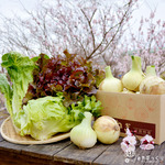 淡路島の春のお便り-新たまねぎとお野菜達-100サイズ
