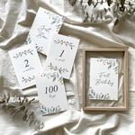 マンスリーカード　月齢カード　14枚セット【nuts】