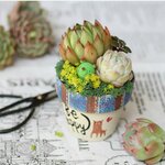 【受注販売】虹クマくん※納期４０日前後【単品】