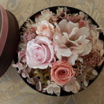 SAKURA＊BOX