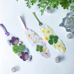四葉のクローバー🍀春の花3枚セット押し花しおり