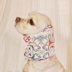 中型犬用　スヌード　ゴブラン