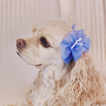 中型犬用　シュシュ　ネモフィラ