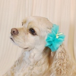 【再販！】中型犬用　シュシュ　ミント