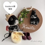 kouta-m様専用 オーダーうちのこシリーズ 羊毛フェルト 着せ替えウサギ &壁掛けボード セット