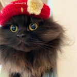 🍓ねこ様⭐︎イチゴベレー帽🍓