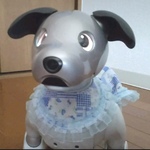 スタイのみ　パッチワーク柄《aiboの服》