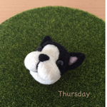 羊毛フェルト＊ボストンテリアのブローチ