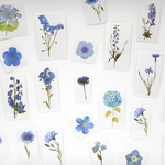 PETシール　blue flower　25枚