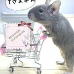 T様専用