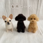 zucck89様　愛犬うちの子マスコット　オーダー　羊毛フェルト