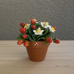 苺🍓　1