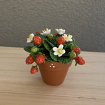 苺🍓　3