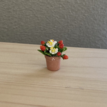 苺🍓　ミニミニテラコッタ鉢　5