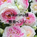 erikariina 様専用ページ💕タック入りサーカスパンツ