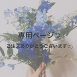 Y様専用ページ⚘*