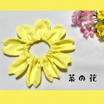 moriのお花スタイ🌼菜の花🌼