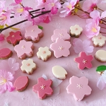 デコチョコクッキー(さくら)🌸6枚入