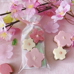 デコチョコクッキー(さくら)🌸3枚入