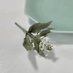 布花🌿野草好きに嬉しいぺんぺん草のナチュラルブローチ。