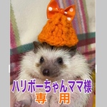 こちらはハリボーちゃんママ様専用　