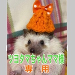 こちらはツヨタマちゃんママ様専用　