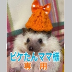 こちらはピケたんママ様専用　