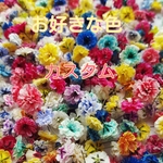 🌼かすみ草のドライフラワー🌼自分でチョイス
