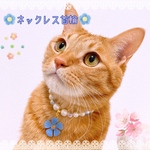 猫の首輪🐈ネックレス首輪✨ブルービーズ♡大きめお花チャーム🌸