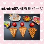 mizuiro02z様専用ページ