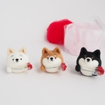 ～母の日～まゆ柴犬がカーネーションを贈ります。(赤柴・黒柴・白柴)  羊毛フェルト※受注製作