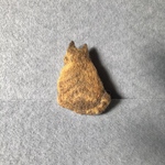【受注生産】猫の後ろ姿ブローチ・茶トラ
