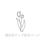 ⭐︎測定用チップ⭐︎