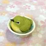 【送料無料】ころりんメジロさん～豆鉢入り～羊毛フェルト