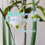 【yurias1021様　専用ページ】ありがとうございます。猫まんじゅうより