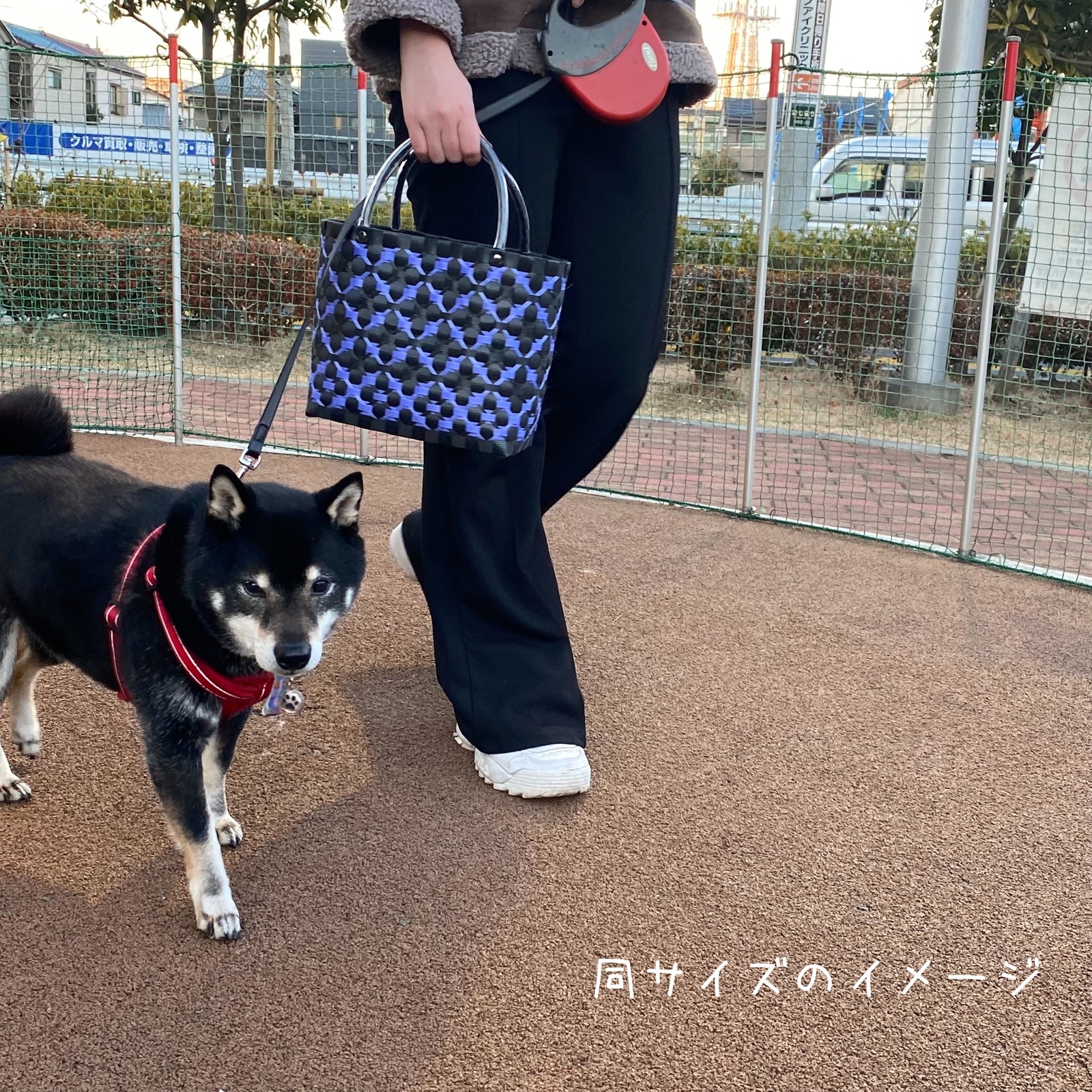 バラブランカ　わんことお散歩カゴバッグSサイズ3個 バラブランカ わんことお散歩カゴバッグSサイズ3個 バラブランカ