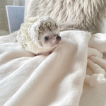 ［再販］❁capuche❁ カプチェシフォン♡⃛ホワイト【送料込】