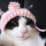 春色！大人気ポンポンにゃんこ帽子♡猫用手編み帽子★ねこニット帽