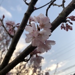 kasa0620yan様専用