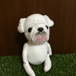 ソックスブルドッグ