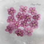 *｡　河津桜（ｶﾜｽﾞｻﾞｸﾗ）　｡*　押し花素材