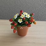 苺🍓　5