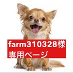 専用ページ