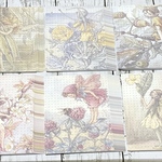 Flower Fairies A6MEMO