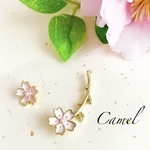 桜のアシンメトリーピアス／イヤリング