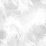 milk___818様