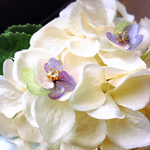 ビジュー♡紫陽花ピアス♡ノンホール