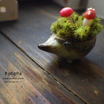 mini豆鉢　ハリネズミとコケ　その1