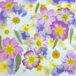 ♡new♡作家様必見♡押し花MIXセット♡押し花セット